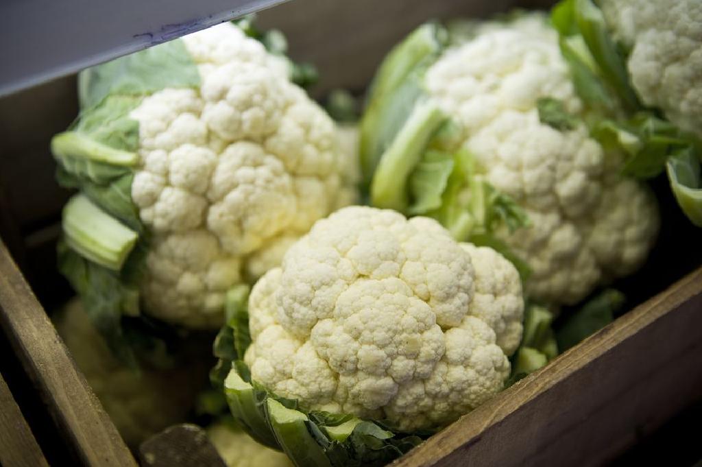 未加工的食物花椰菜米食谱