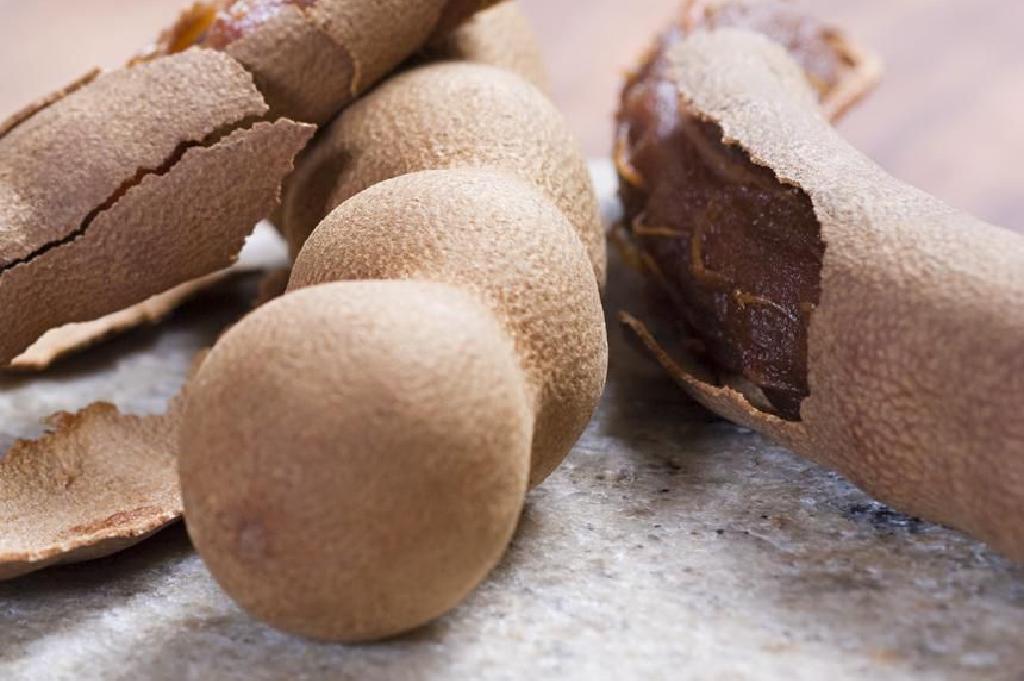 Definicion E Historia De La Fruta Mexicana De Tamarindo