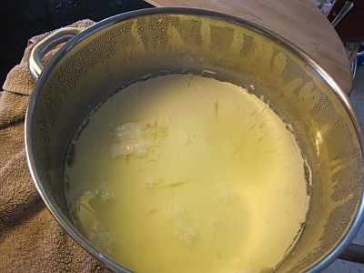 bruciatore di grasso skald bruciatore di grasso skald